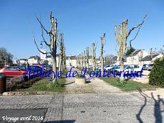149 ABBAYE DE FONTREVRAUD